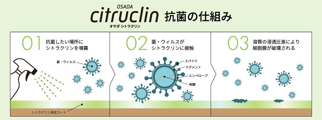 抗菌の仕組み